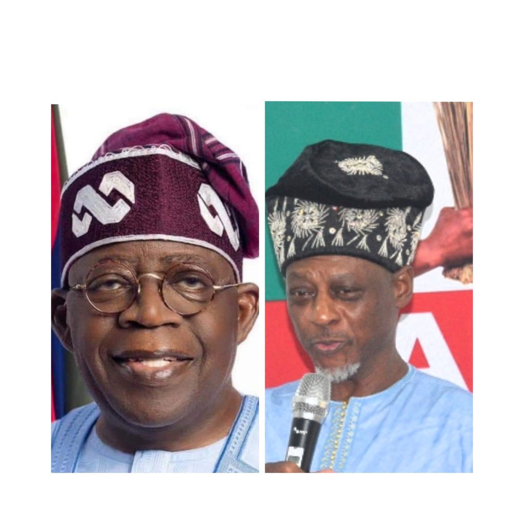 President Tinubu Receives Overwhelming Support from NPA and Renewed Hope USA