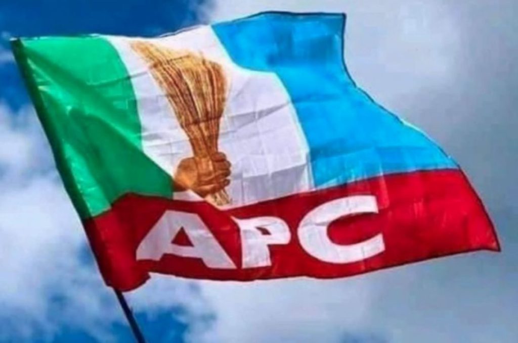 APC secures all chairmanship positions in Niger LG elections