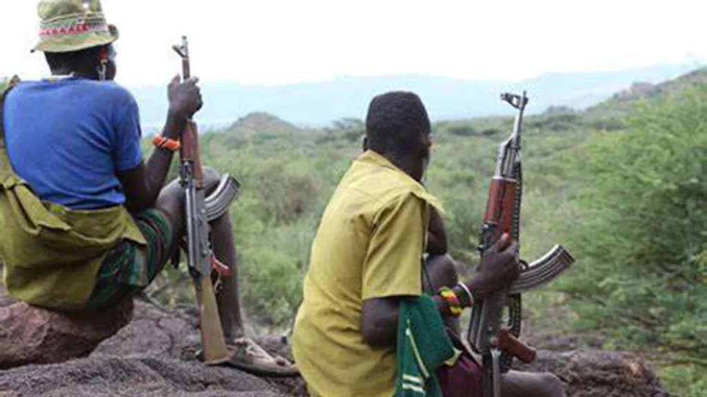 Bandits abduct road construction worker in Katsina