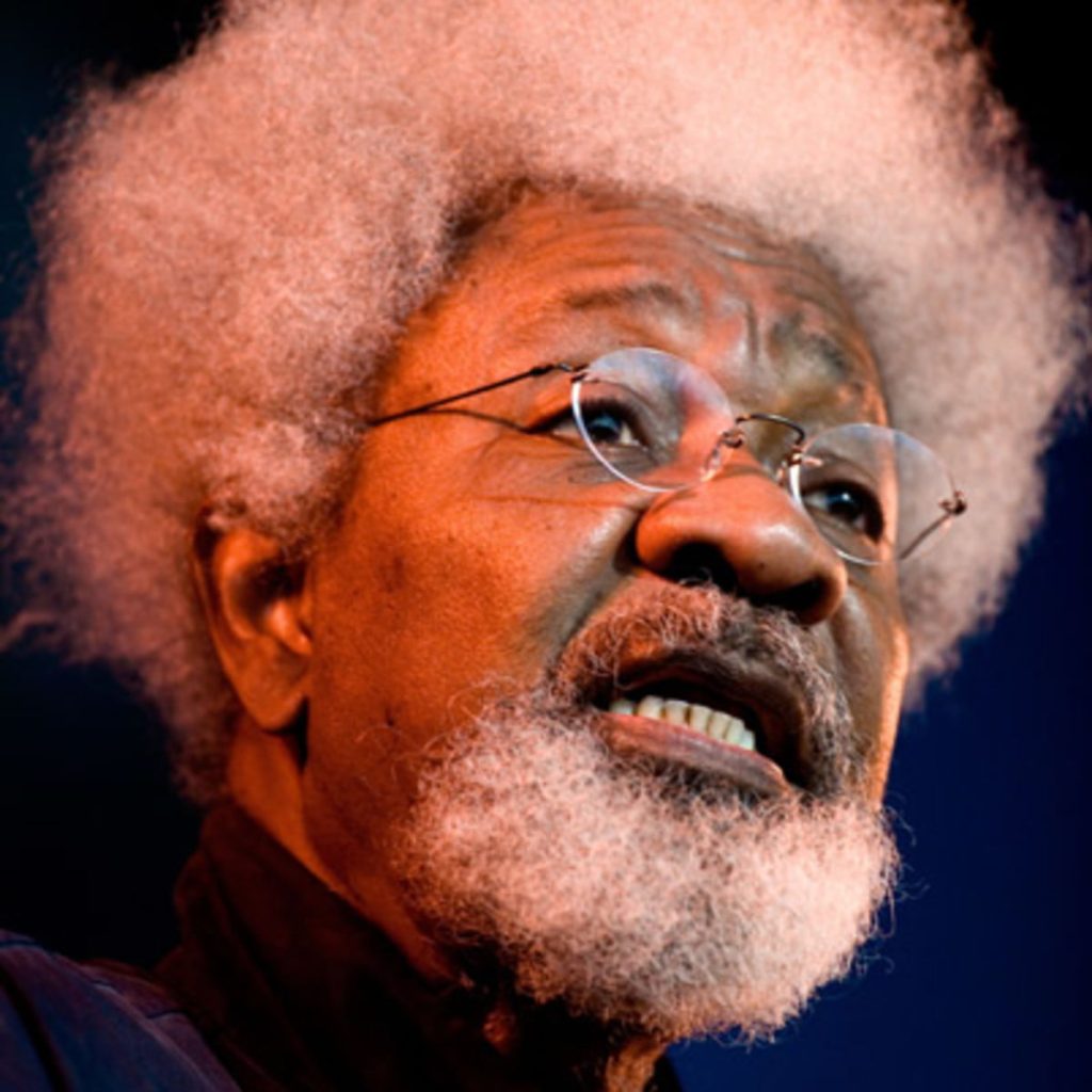 How I was kidnapped, robbed – Wole Soyinka