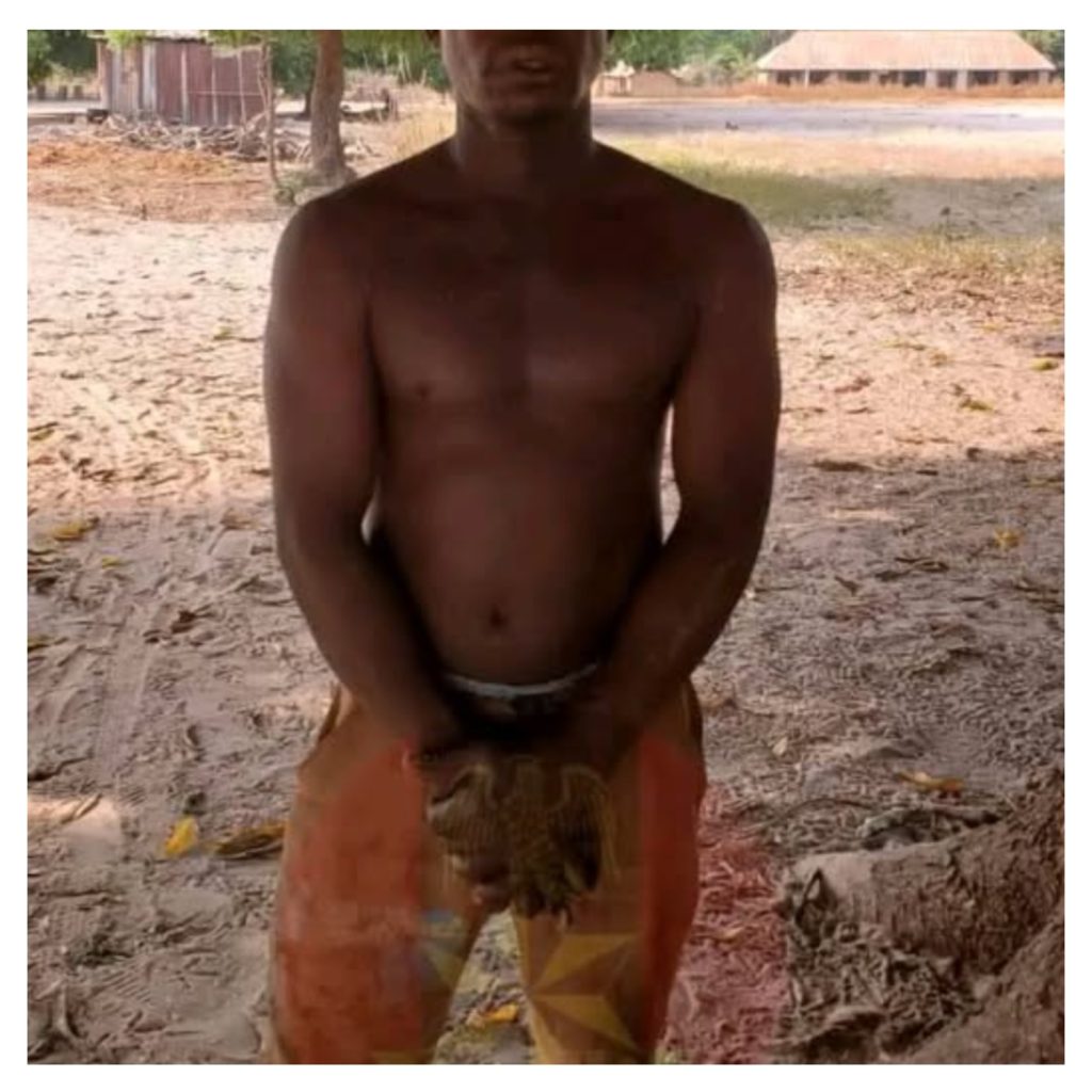 Nigerian troops uncover illegal arms factory in Doma, arrest 26-year-old suspect from Kokona