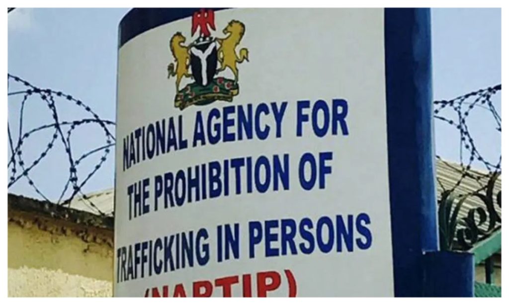 Human trafficking: We’ve received not less than 100 victims, 70 suspects – Ogun NAPTIP