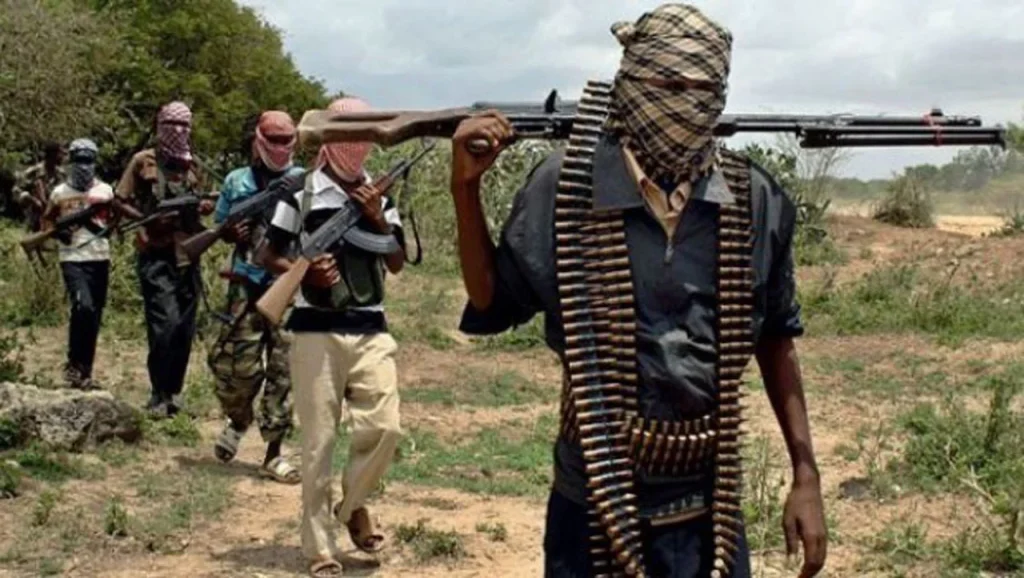 Bandits reportedly form parallel govt in Kano, Katsina forests, impose N50,000 levy on farmers