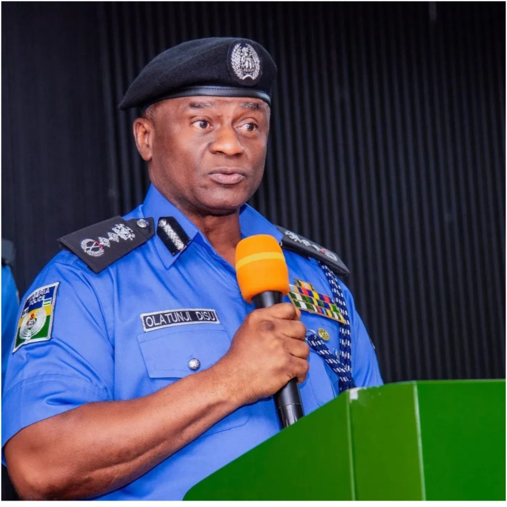Provide equipment, improve welfare of police officers – IGP Disu begs Nigerian govt