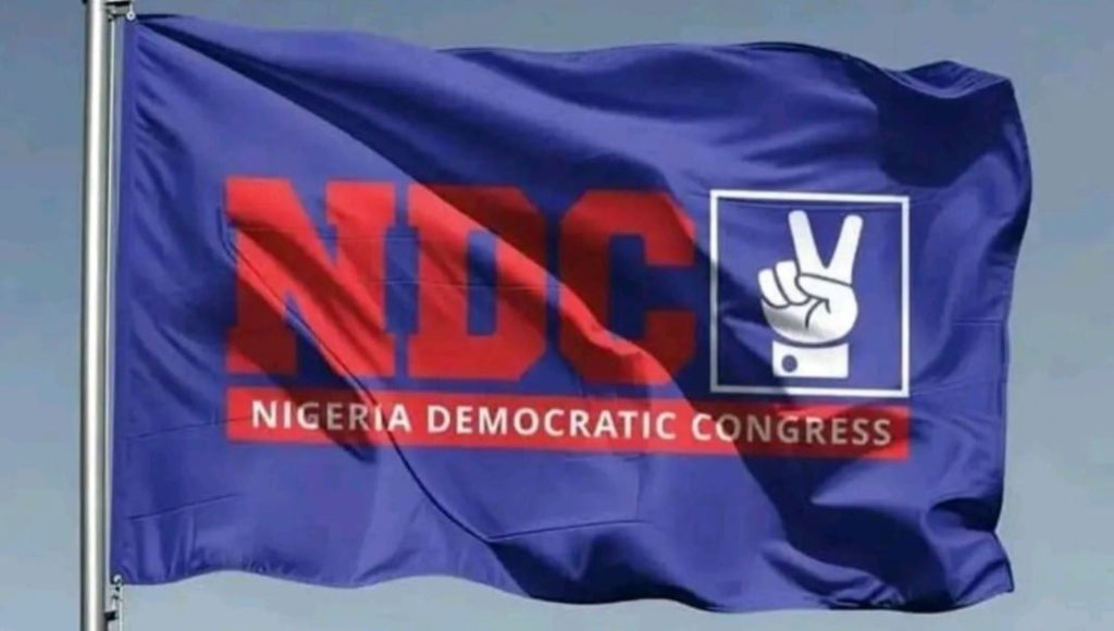 Enugu NDC primary: Aspirants cry foul as allegations of manipulation rock exercise