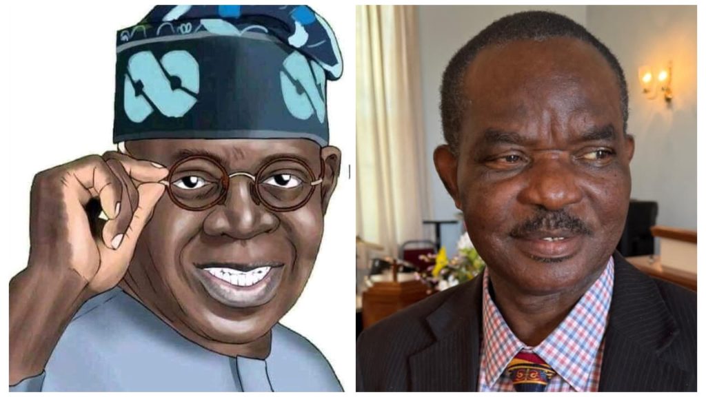 Tinubu Gets Diaspora Backing: Points to Bold Reforms – RH USA