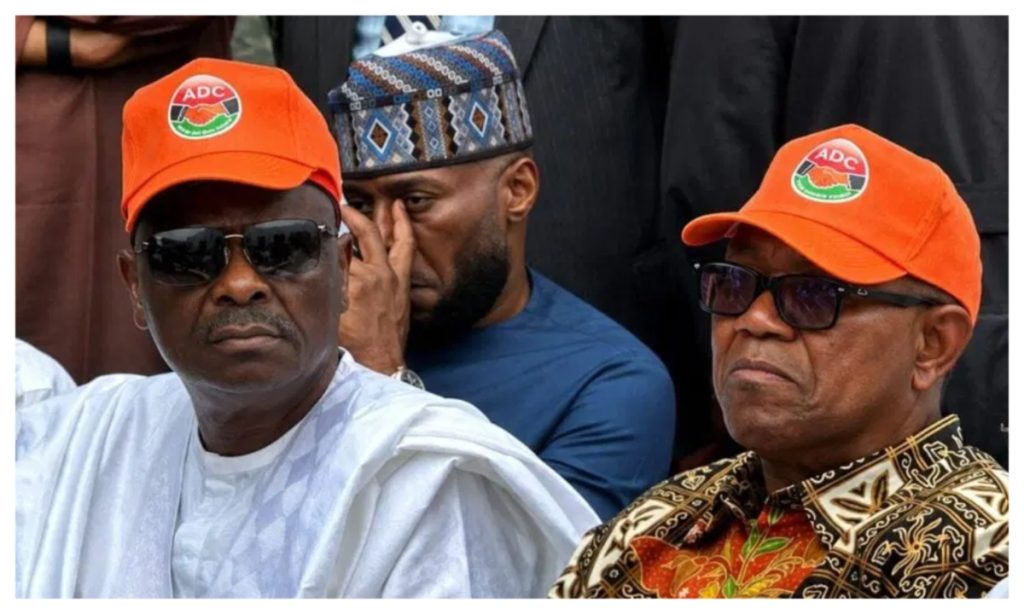 Peter Obi, Kwankwaso defection still under probability – NDC