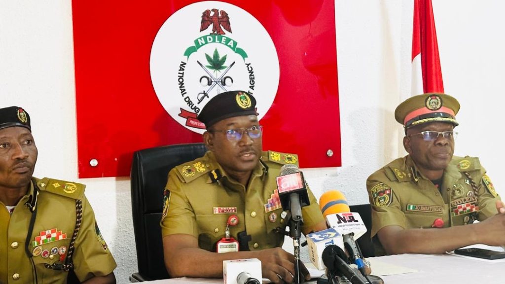 Ogun NDLEA arrests 306 drug offenders, prosecute 64, dismantles meth lab in five months