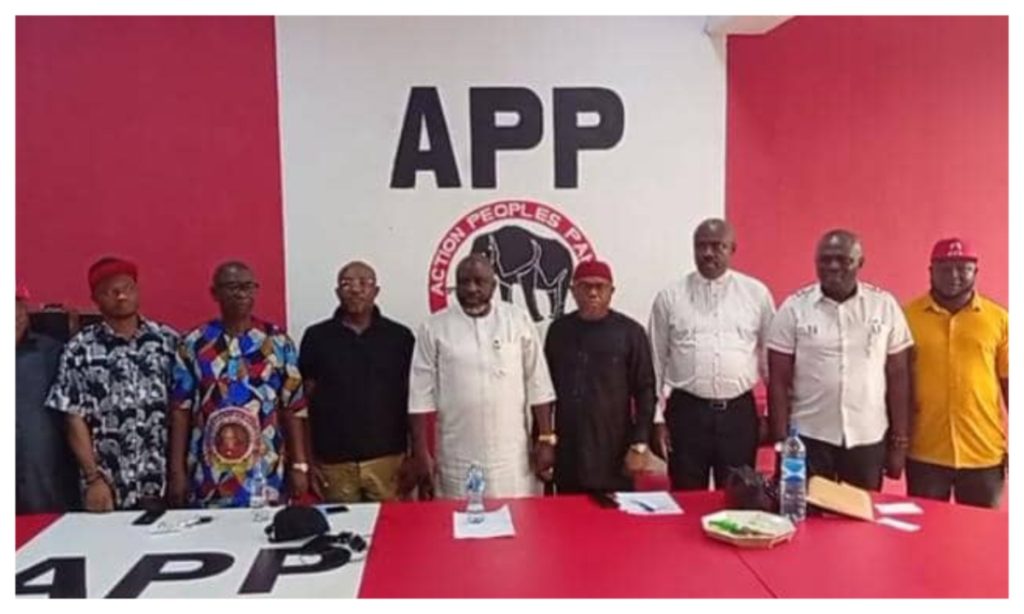 We are fully prepared to participate in 2027 general elections – Imo APP chair, Njesi