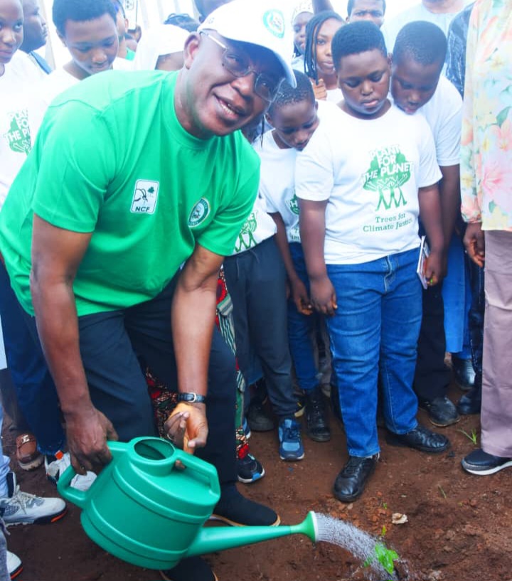 Ogun resuscitate 6 forest reserves, rallies citizens on 2026 tree planting day