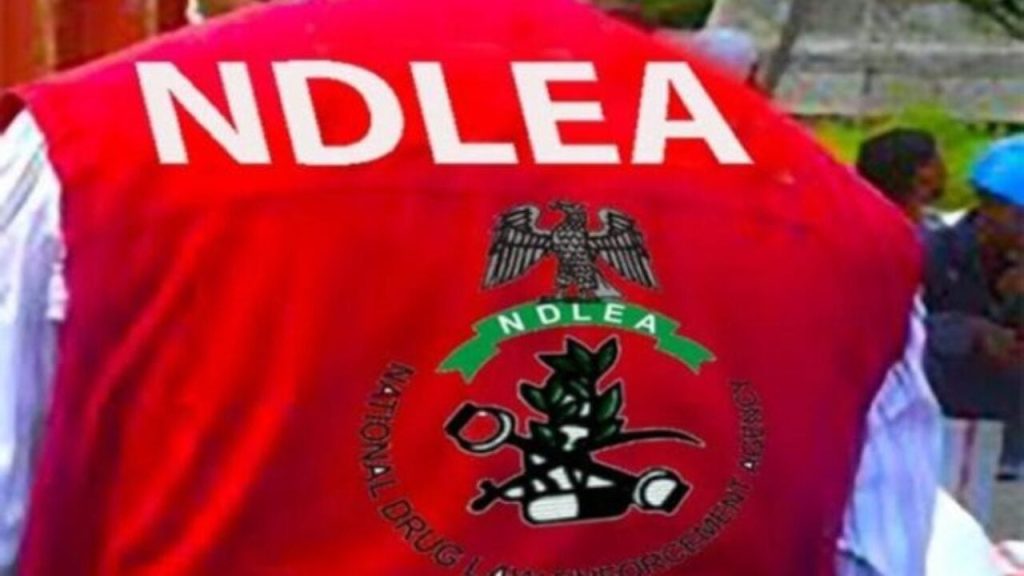 NDLEA intercepts colos shipments from UK