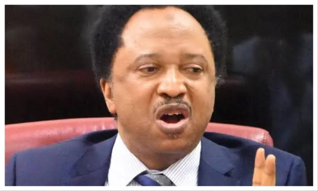 Nigeria at 66: We’ve survived our challenges – Shehu Sani
