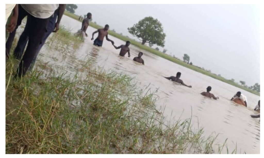 One child rescued, another missing after river incident in Yobe